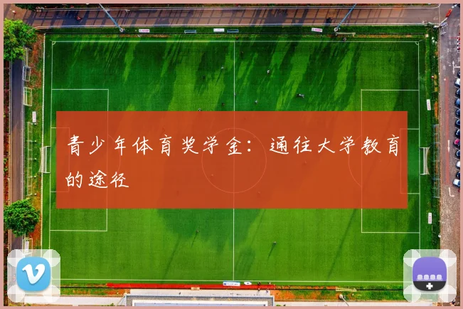 青少年体育奖学金:通往大学教育的途径